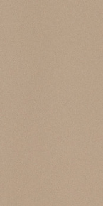 Неглазурованный керамогранит, LEONARDO, Icon, Бежевый, 60*120, IconBeige12L