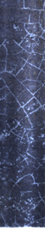v8_56BA_20018