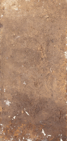 v8_A3E3_21551