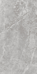 Глазурованный керамогранит, SANT'AGOSTINO, THEMAR, Серый, 60*120, GrigioSavoia60120