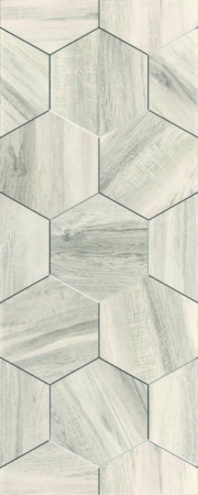 v8_15C5_2e72c