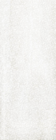 v8_56BA_2e55f