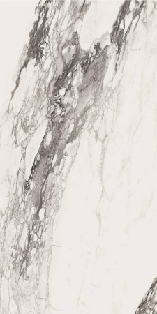 v8_56BA_314b7