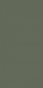 Глазурованный керамогранит, APE, FourSeasons, Зеленый, 59.8*119.8, SapMattRect60*120