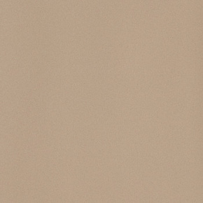 Неглазурованный керамогранит, LEONARDO, Icon, Бежевый, 120*120, IconBeige120L