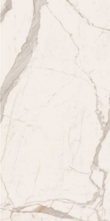 v8_56BA_314ff