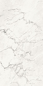 Неглазурованный керамогранит, LA FAENZA, AESTHETICA, Белый, 60*120, AeCal612Rm