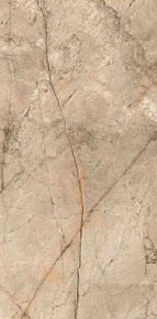 Глазурованный керамогранит, MEGA TILE, Carving (MEGA TILE), Коричневый, 60*120, BarbilloBrownMat