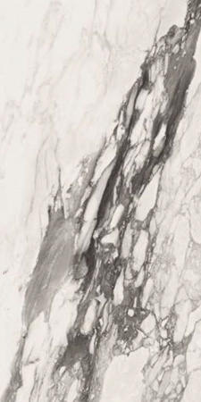v8_56BA_3153b