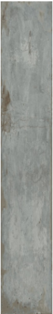 v8_56BA_31cff