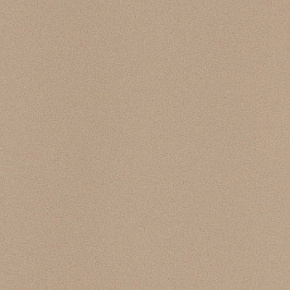 Неглазурованный керамогранит, LEONARDO, Icon, Бежевый, 60*60, IconBeige60L