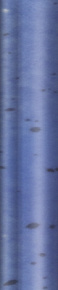 Керамическая плитка, MAINZU, Marenostrum, Синий/Голубой, 3*15, MolduraMarenostrumCielo