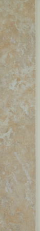 v8_56BA_47156
