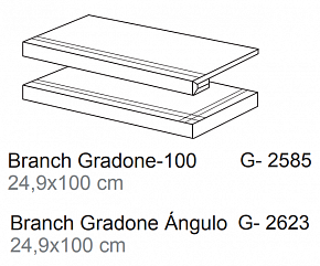 Ступень, Aparici, BRANCH, Тиковое дерево, 24.9*100, BranchTeakNonsGrad-10024,9X100